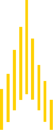 MEAVC yellow shape